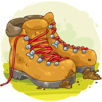 A small image of a pair of walking boots